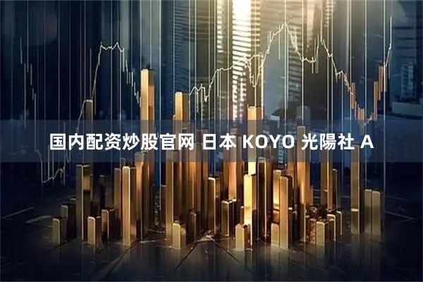 国内配资炒股官网 日本 KOYO 光陽社 A